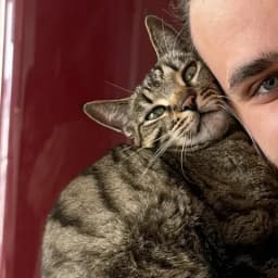 Photo of their cat